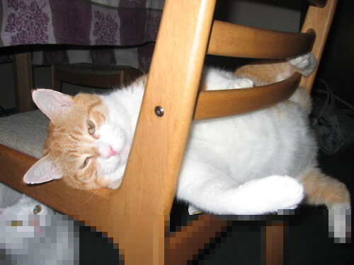 FB体育官网-亚洲杯即将开打，国足小组赛迎战日韩劲敌，国足亚洲杯小组出线