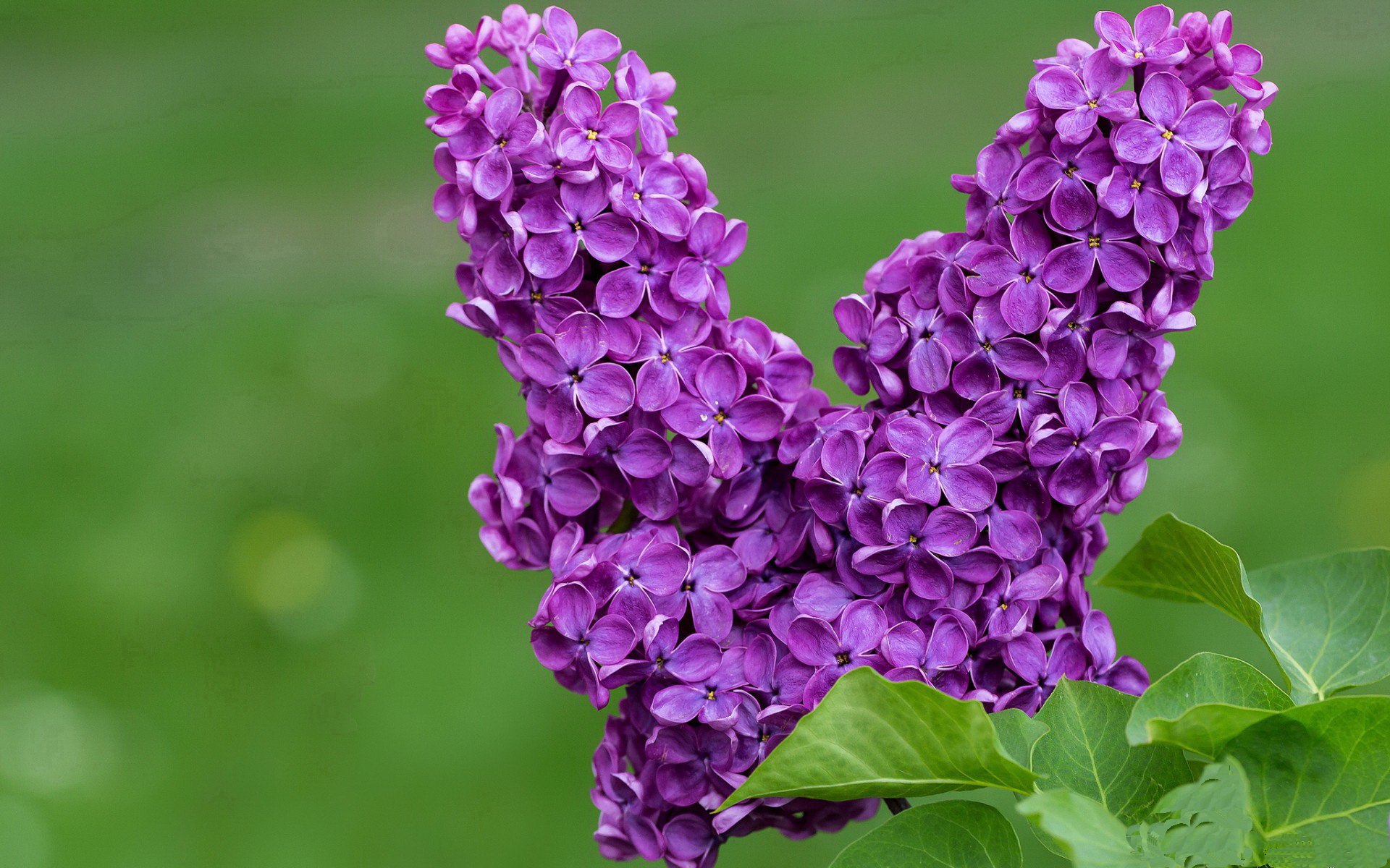 FB体育在线-伤病频发!联盟如何应对核心球员缺阵