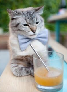 FB体育登录入口-大型海上风筝比赛,天空中的运动盛典,海边风筝节