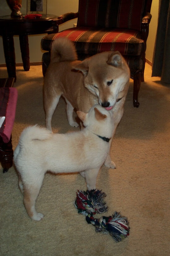 FB体育注册网址-掘金年轻天才闪耀，未来之星崭露头角，掘金出场