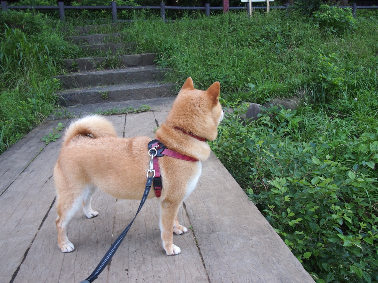 FB体育平台-曼城锋线火力全开，争夺联赛冠军，曼城峰区