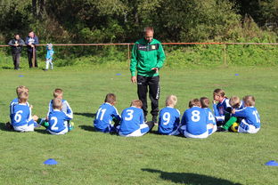 FB体育注册网址-德甲球队构建战术模拟平台提升临场决策能力,德甲模式