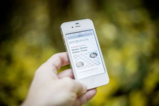 FB体育官方网站-智能训练辅助系统开发与应用，智能训练处理