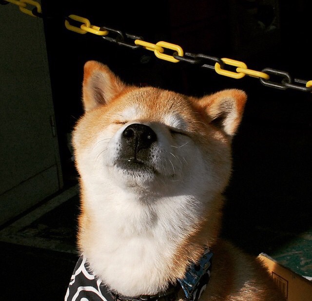 -中国女篮全队积极备战国际比赛，中国女篮虽败犹荣