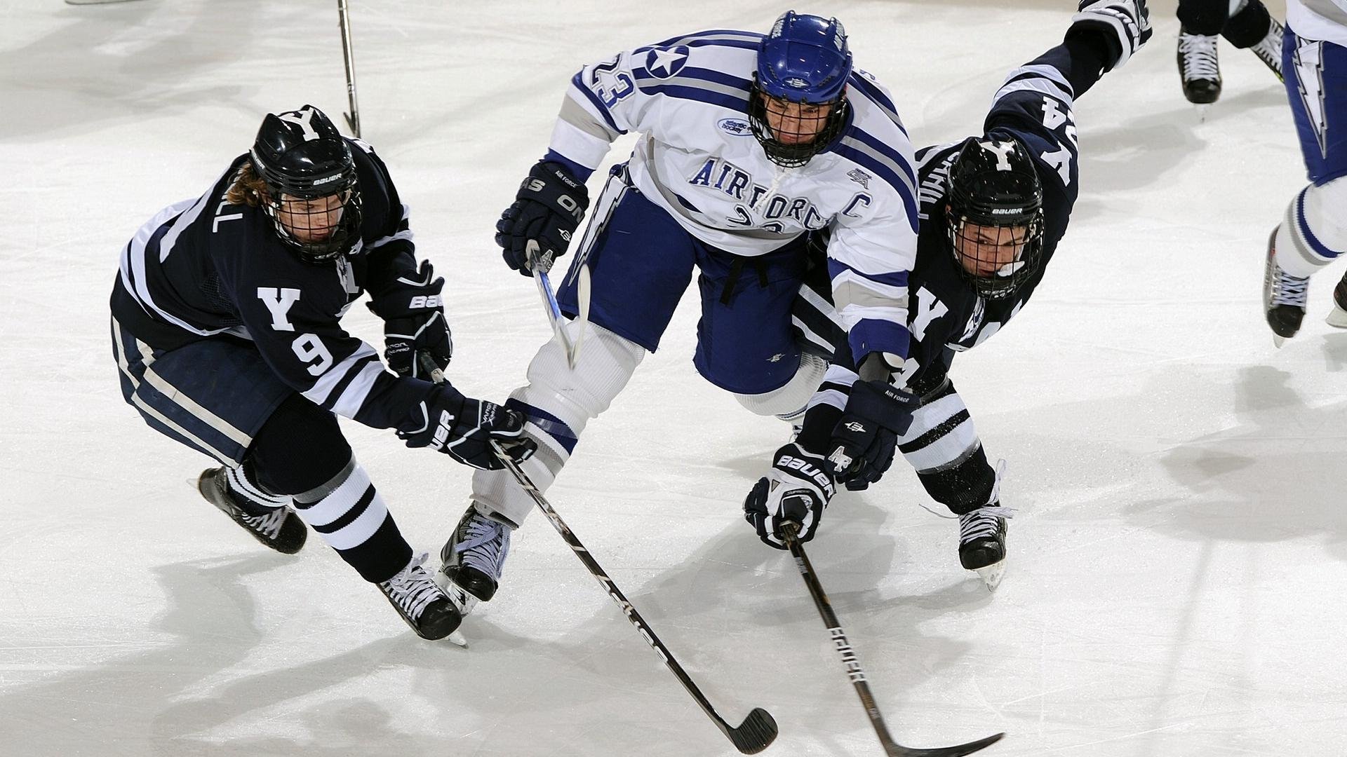 中国篮球裁判队伍培训体系进一步完善，篮球裁判培训课程