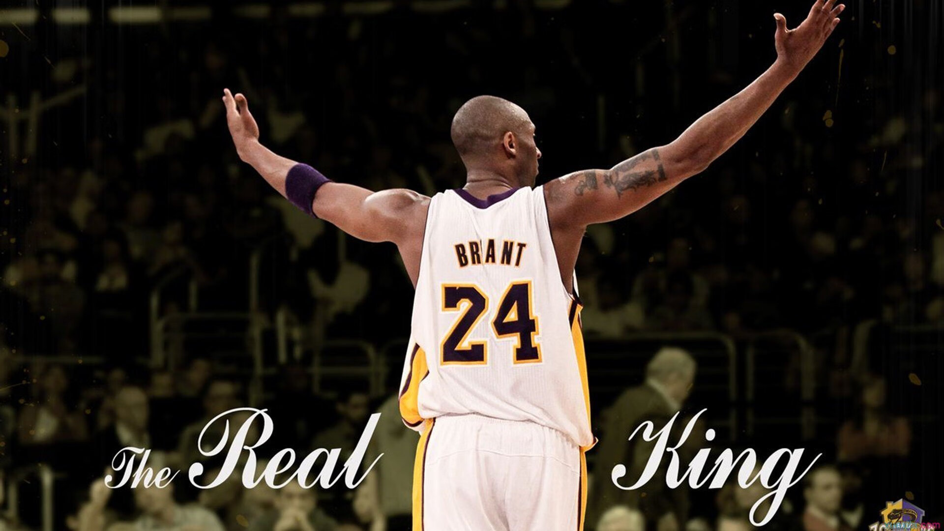 官网-英超大逆转，精彩进球、神级扑救点燃现场气氛，英超进球锦集